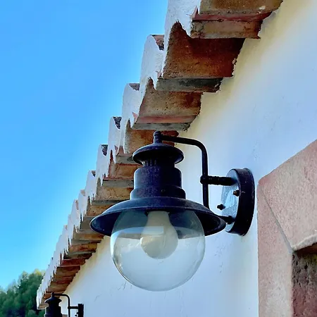 La Miel Nerja